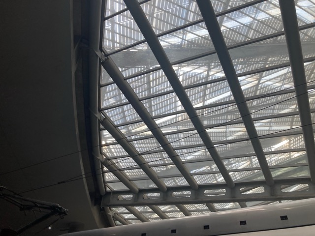 IMG_0875中